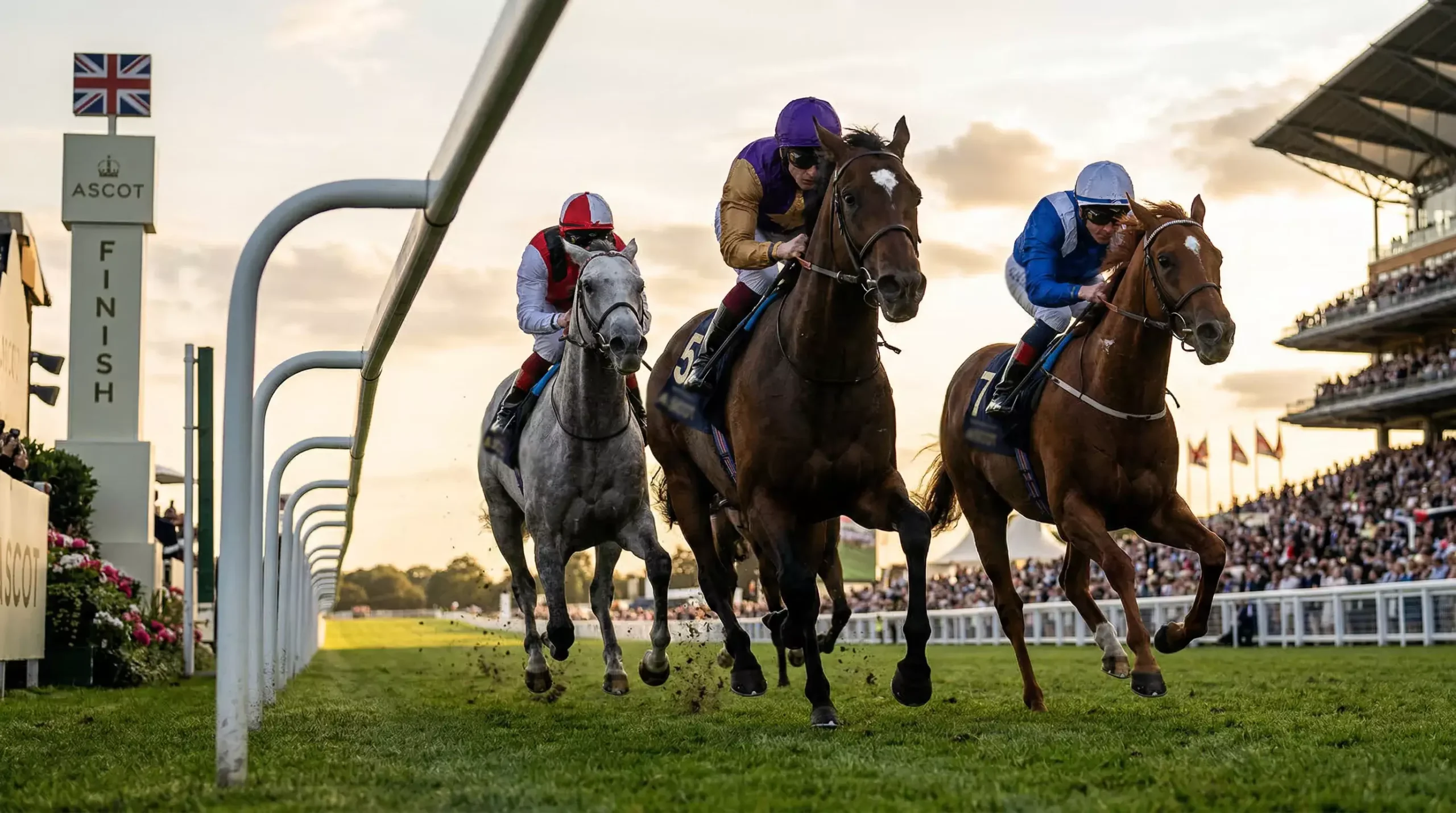Three racehorses crossing the finish line in a tight competition at a British racecourse
